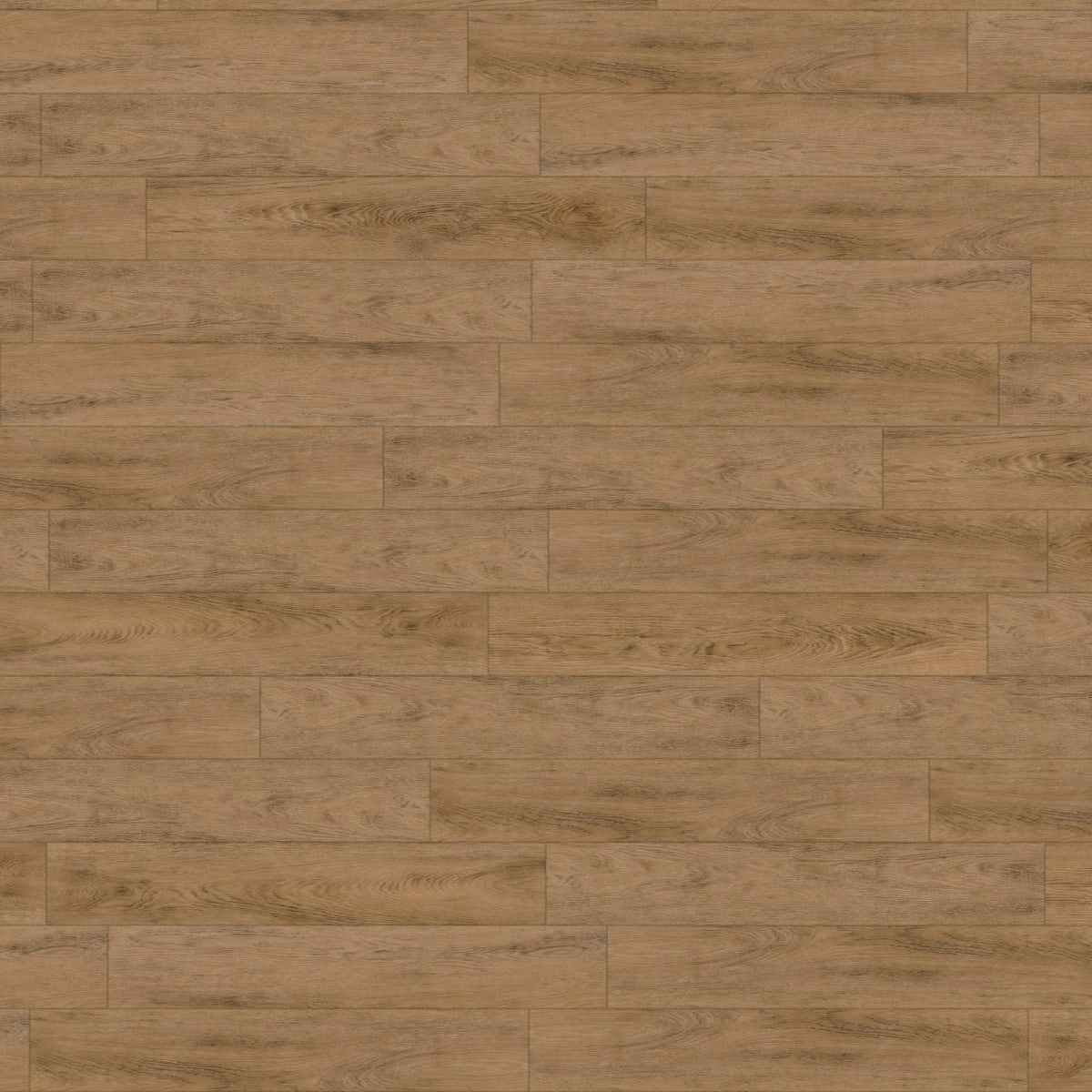 Rotterdam Oak, Amtico Signature, Sample