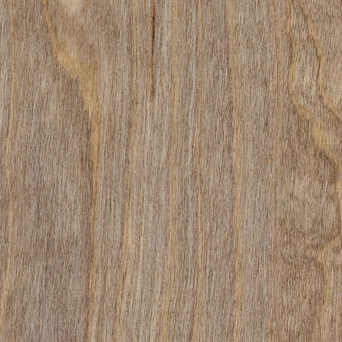 Bleached Elm, Amtico Spacia, Sample