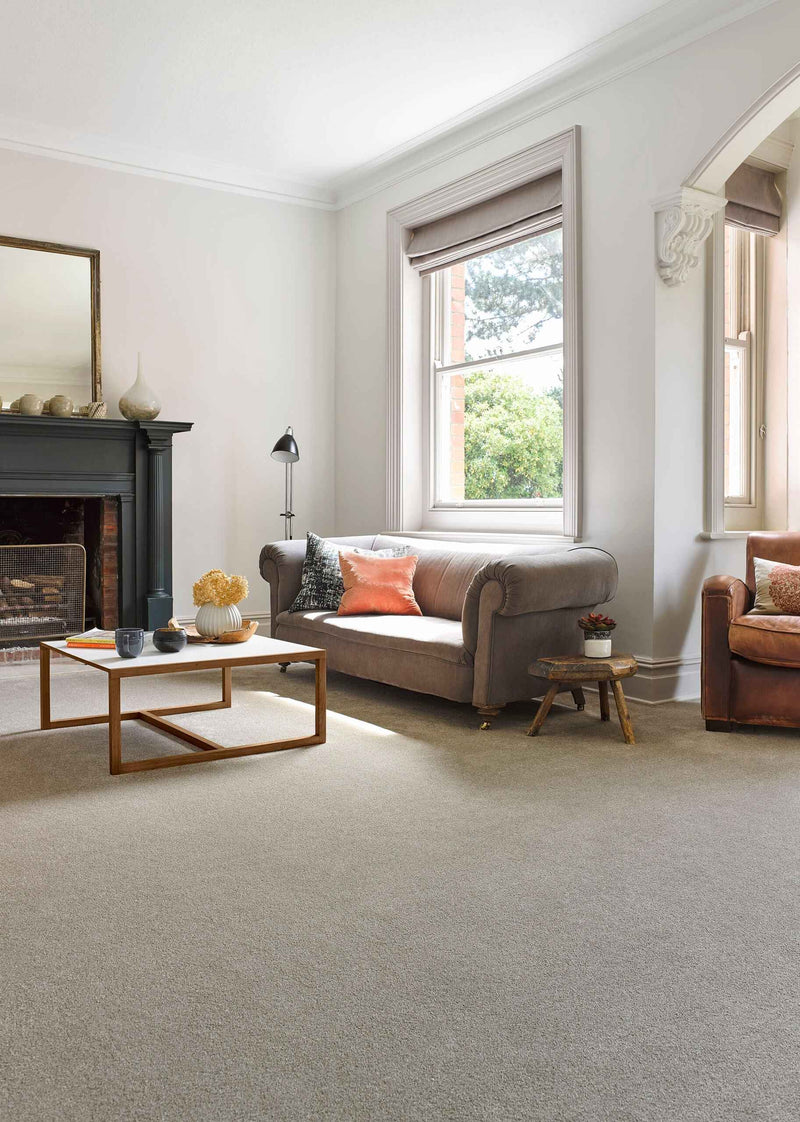 Living room with gray carpet, sofa, and coffee table.