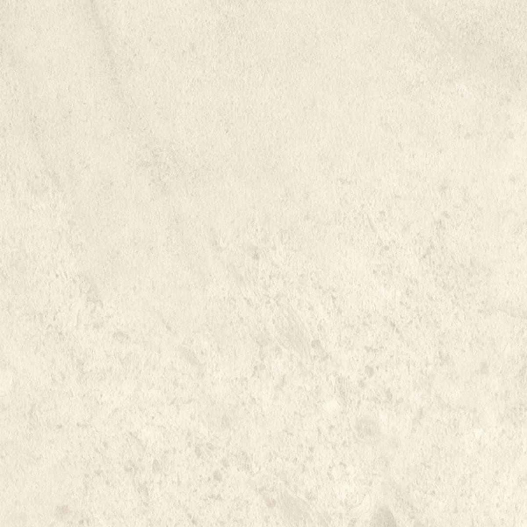Ammonite, Amtico Form, Sample