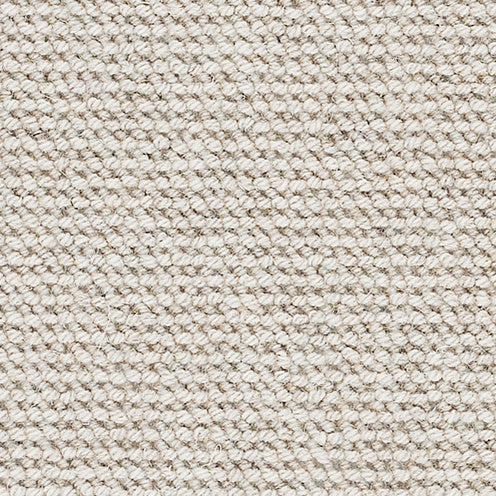 Dune Seashell, Brockway Beachcomber, Sample