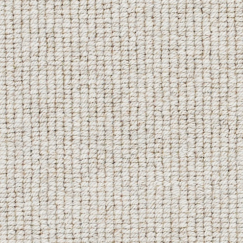 Strand Seashell, Brockway Beachcomber, Sample