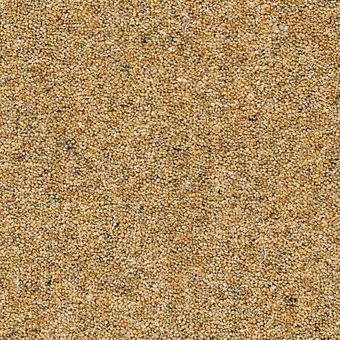Biscotti, Brockway Dimensions Heathers 50 £50.00m2