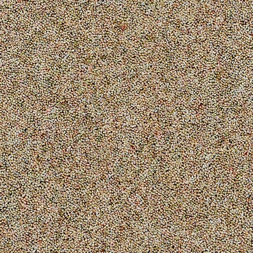 Camel, Brockway Dimensions Heathers 40 £45.00m2