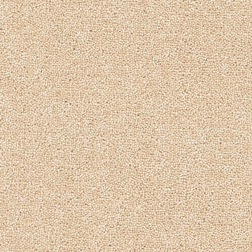 Barley, Brockway Dimensions Plain 40, Sample