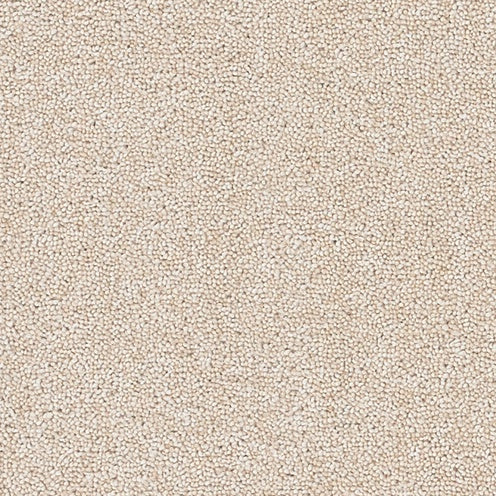 Champagne, Brockway Dimensions Plain 50 £50.00m2