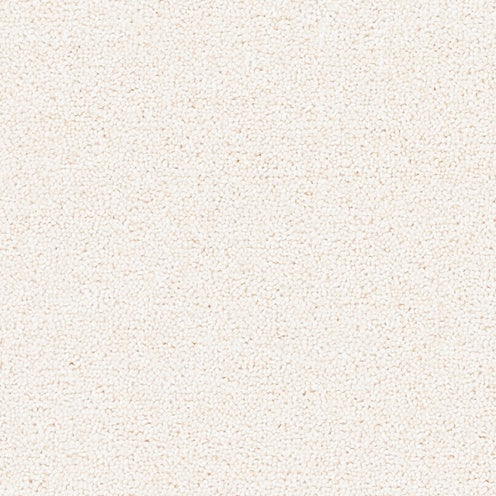 Cotton, Brockway Dimensions Plain 50, Sample