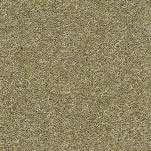 Bergamot, Brockway Dimensions Plain 50 £50.00m2