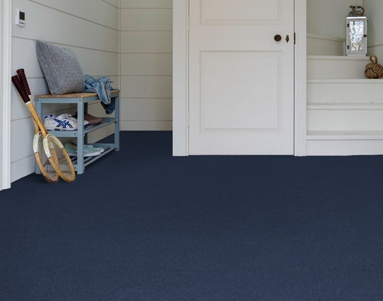 Muscari, Brockway Solar, Sample