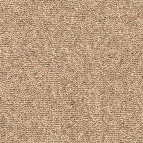 Moorit, Brockway Rare Breeds, Sample