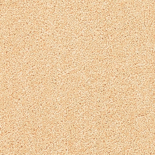 Pollen, Brockway Solar, Sample